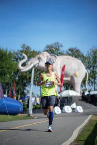 BIB: 
                            <button type="button" onclick="openModal(26542092)" class="btn btn-primary btn-sm float-right btn-popup" data-toggle="modal" data-target=".modal-high-quality">
                        <i class="fas fa-shopping-cart"></i> Add to Cart
                    </button>
                                            <button type="button" onclick="isThisMe(26542092, true)" class="btn btn-success btn-sm float-right btn-popup btn-isme hidden" data-toggle="tooltip" data-placement="bottom" title="นี่คือรูปของคุณใช่ไหม คลิกที่นี่เพื่อเอาเข้าอัลบั้ม">
                        <i class="fas fa-plus"></i> Add to album
                    </button>
                    <button type="button" onclick="isThisMe(26542092, false)" class="btn btn-warning btn-sm float-right btn-popup btn-isnotme hidden">
                        <i class="fas fa-ban"></i> Remove from album
                    </button>